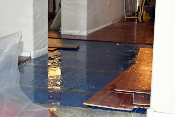 Professional Burst Pipe Cleanup technician working in Pompeii, MI