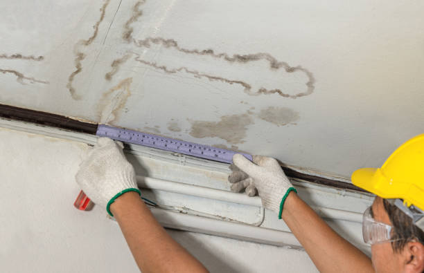 Reliable Burst Pipe Cleanup contractor in Pompeii, MI by Local Water Damage Repair